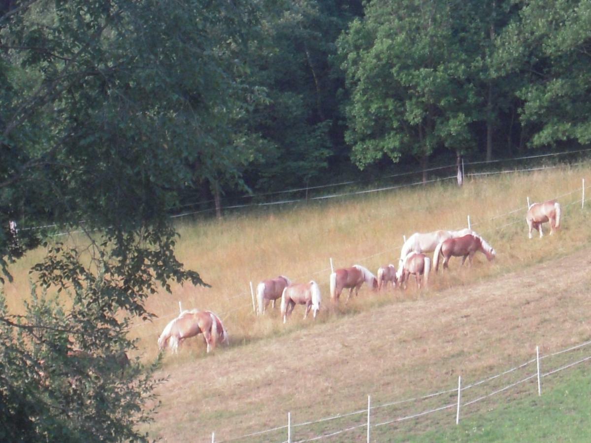 Haflingerhof Luef Villa Bad Schonau Luaran gambar