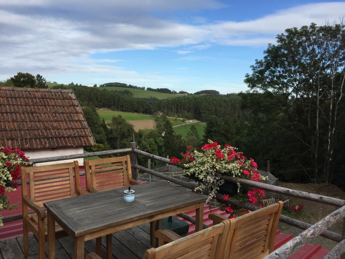 Haflingerhof Luef Villa Bad Schonau Luaran gambar
