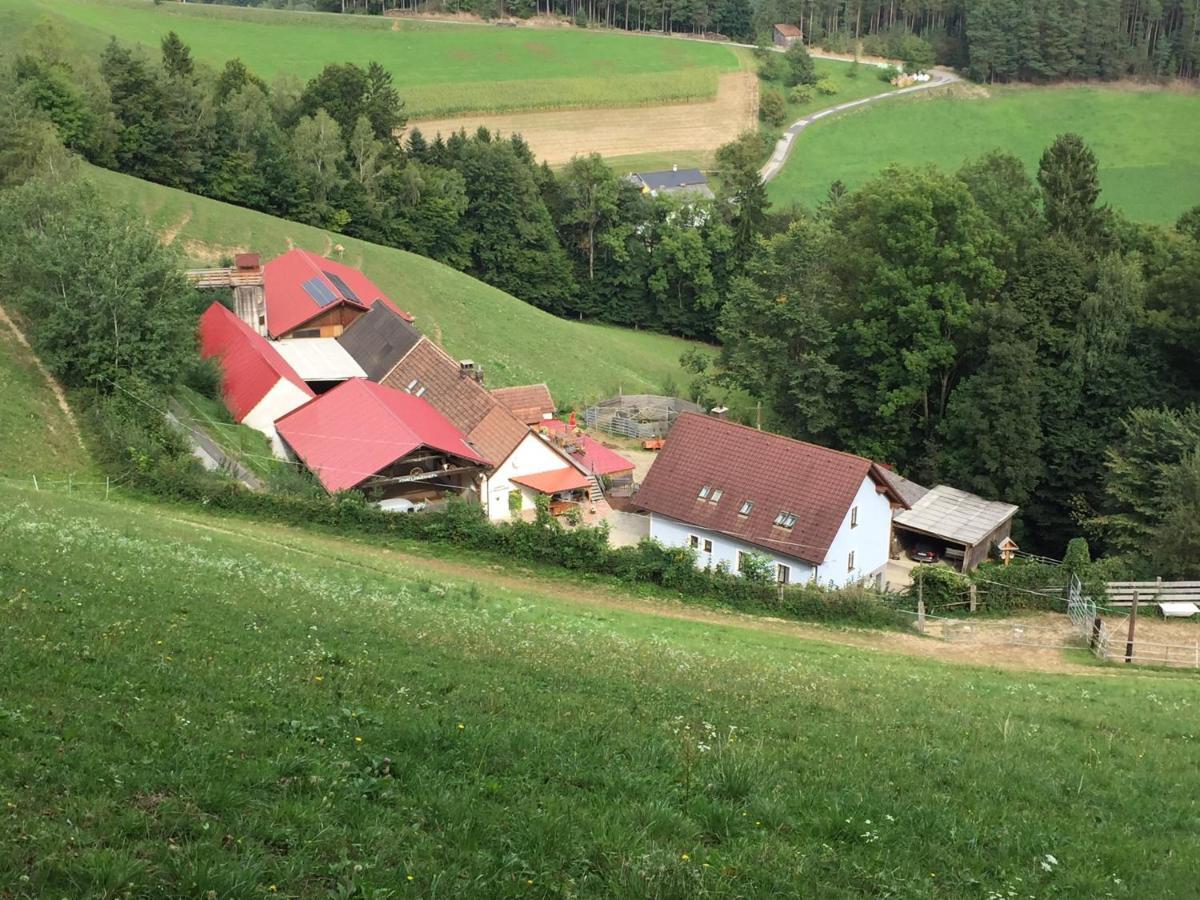 Haflingerhof Luef Villa Bad Schonau Luaran gambar