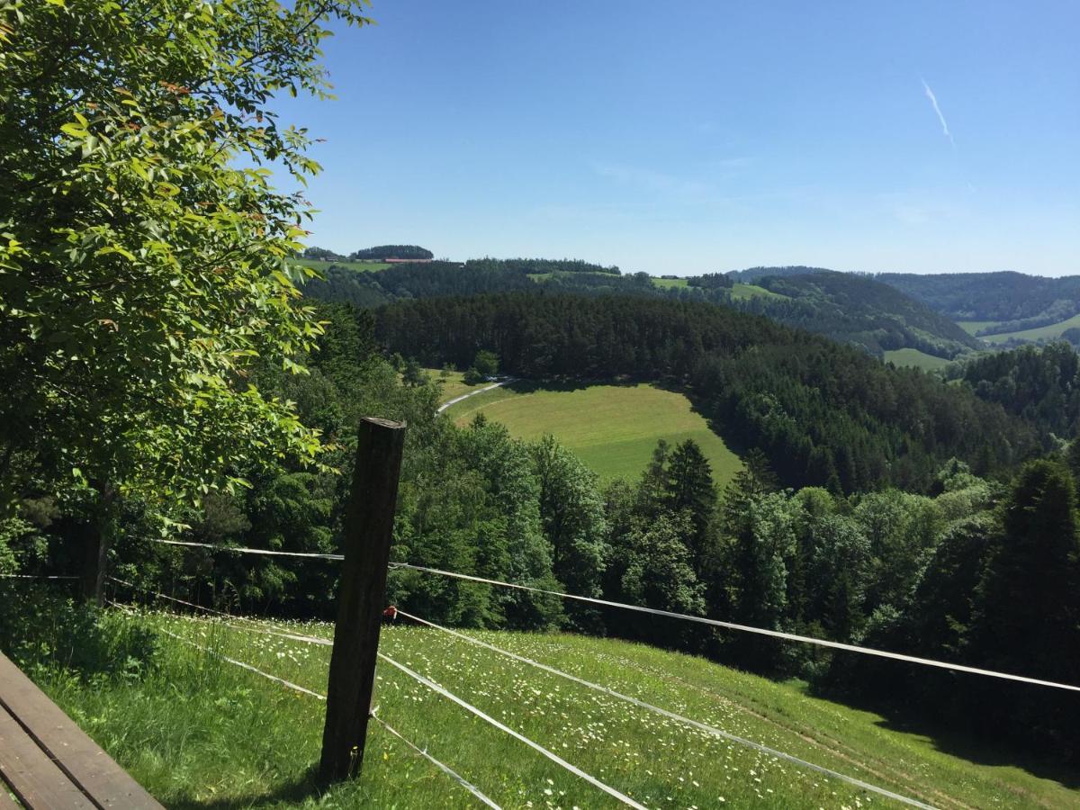 Haflingerhof Luef Villa Bad Schonau Luaran gambar