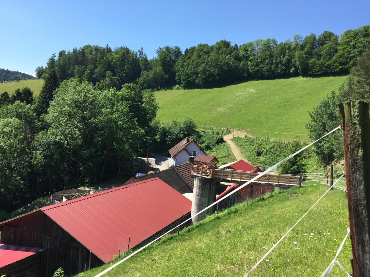 Haflingerhof Luef Villa Bad Schonau Luaran gambar