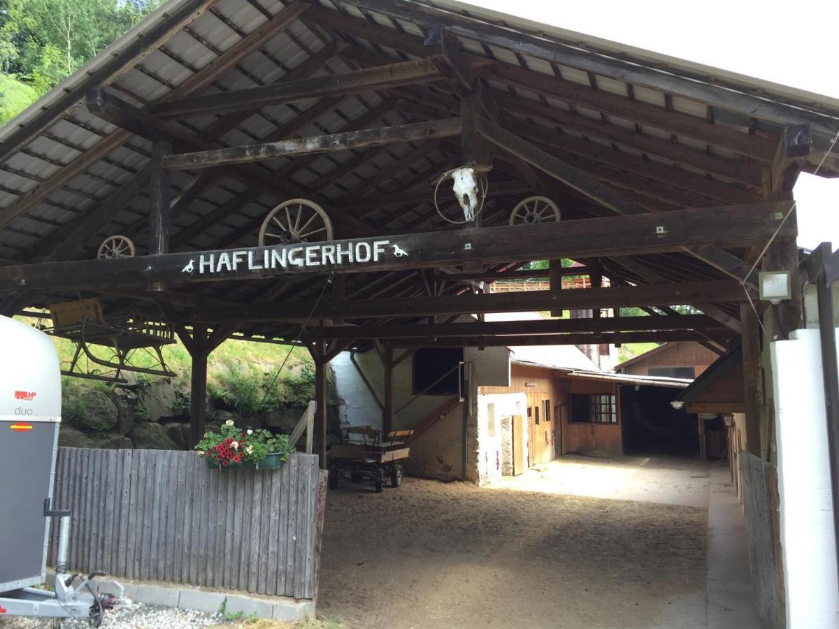 Haflingerhof Luef Villa Bad Schonau Luaran gambar