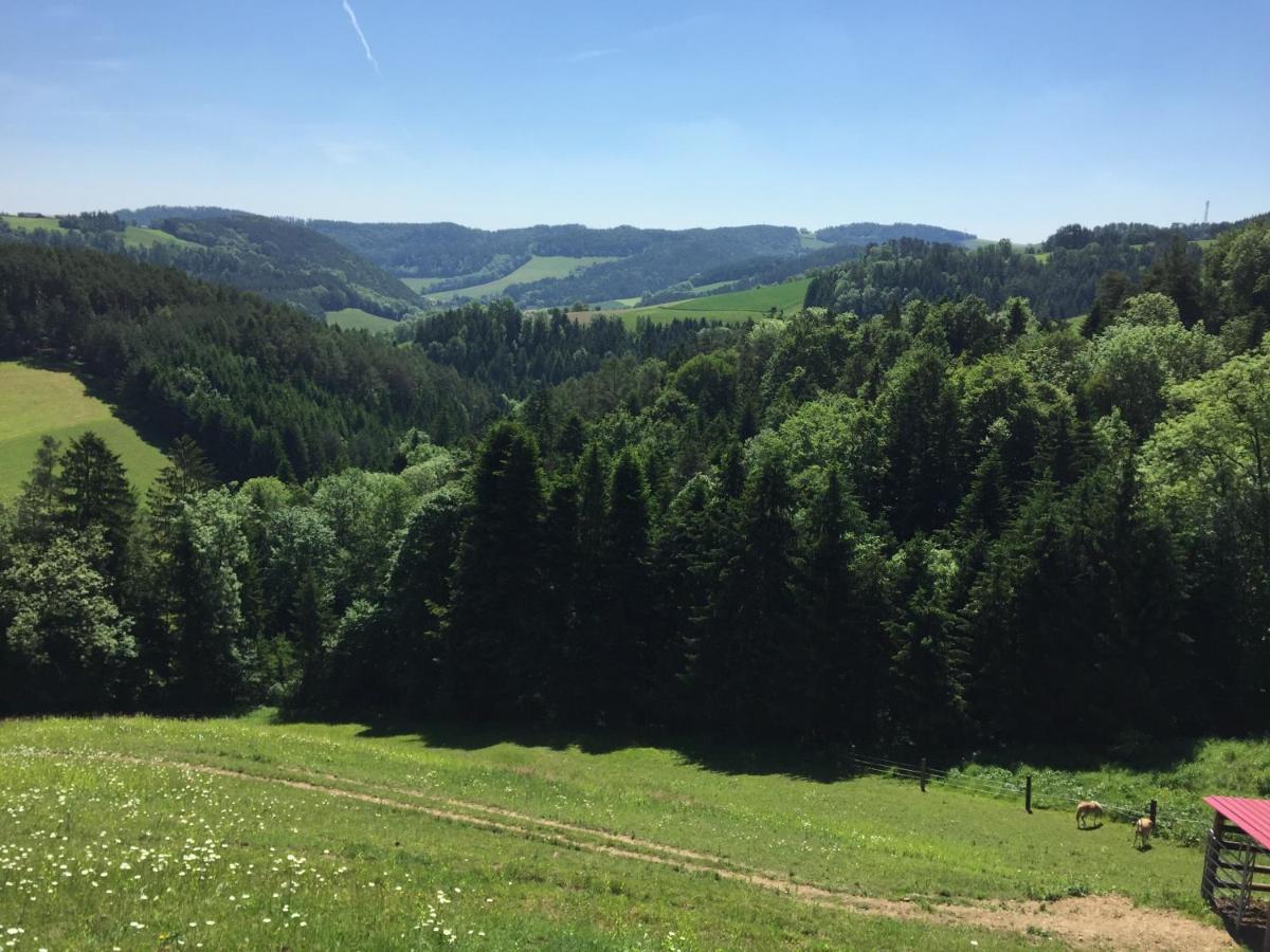 Haflingerhof Luef Villa Bad Schonau Luaran gambar