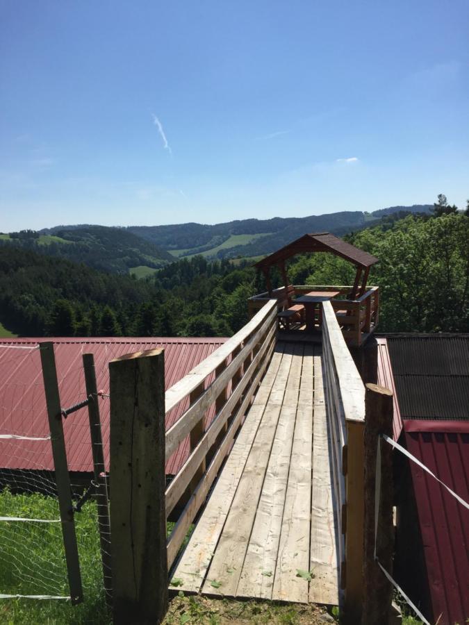 Haflingerhof Luef Villa Bad Schonau Luaran gambar