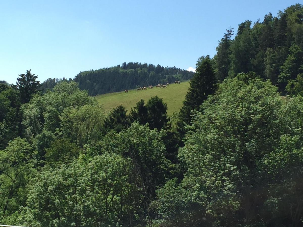 Haflingerhof Luef Villa Bad Schonau Luaran gambar